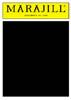 Playbill